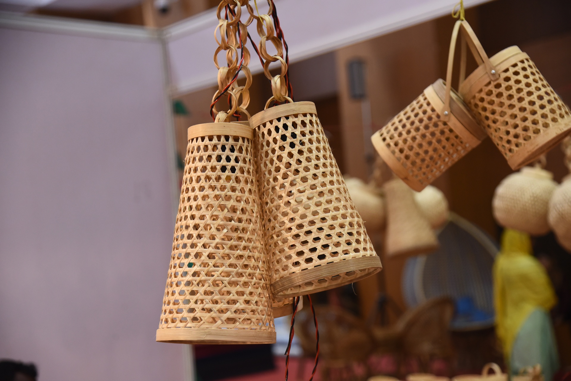 Saras Mela