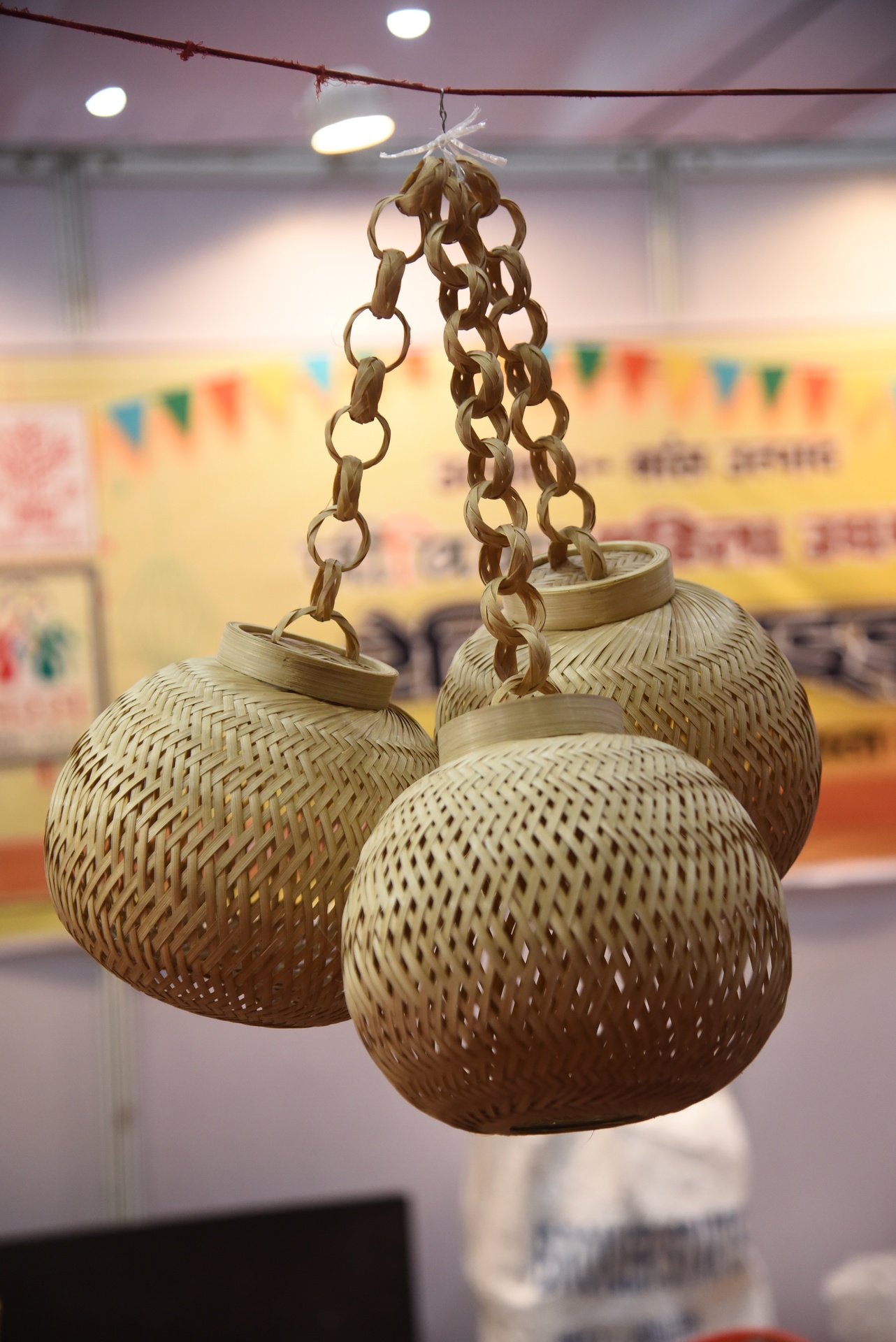 Saras Mela