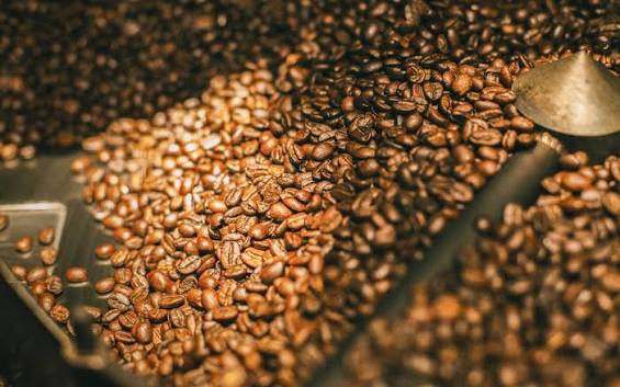 Coffee